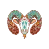 Aries Zodiac Sign